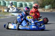 DSC (1181)